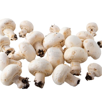 Шампиньоны свежие 500 г - купить в Самсоновской-Левом Берег